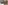 PornForce Review