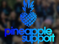Porndeals is now a supporting sponsor for Pineapple Support
