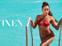 Do You Need VIXEN Customer Support?